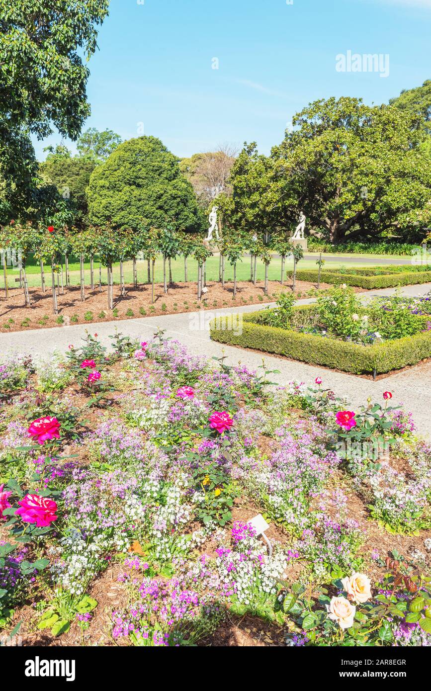 Royal Botanic Gardens, Sydney, New South Wales, Australia, Stock Photo