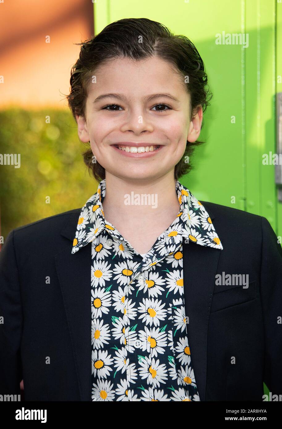 25 January 2020 - Burbank, California - Raphael Alejandro. Disney Channel Original Movie
