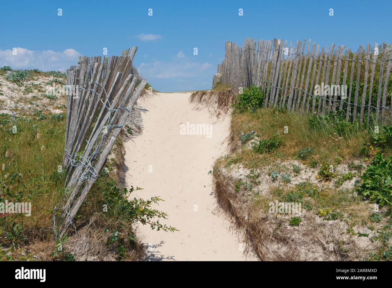 Timber Slat Path Path with fences made of wooden slats between the dunes in Brittany ...