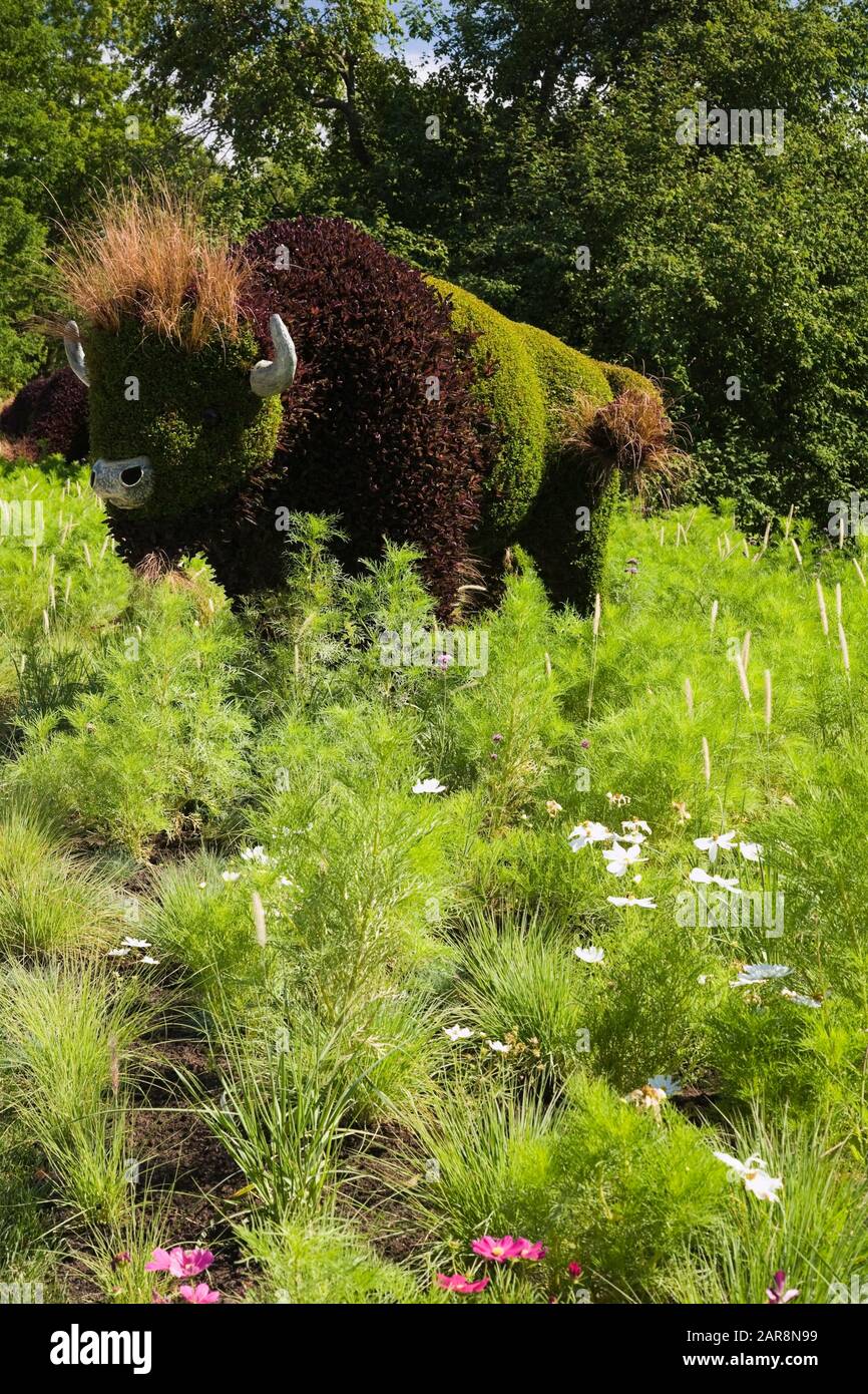 Bison living plant sculpture created on metal mesh forms filled with earth and planted with various plants and grasses Stock Photo