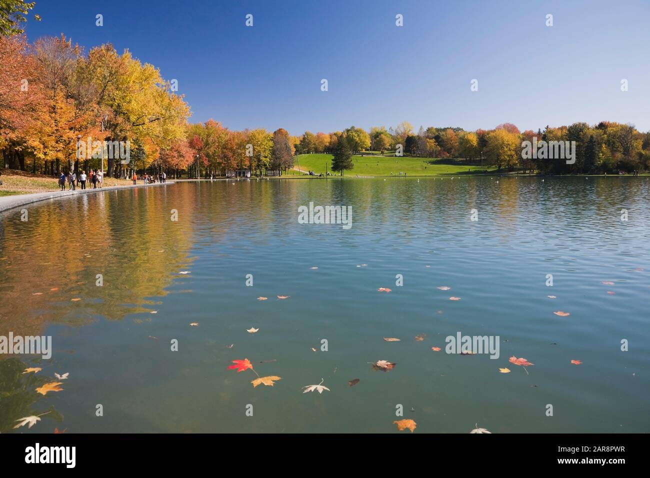 Lac des Castors 
