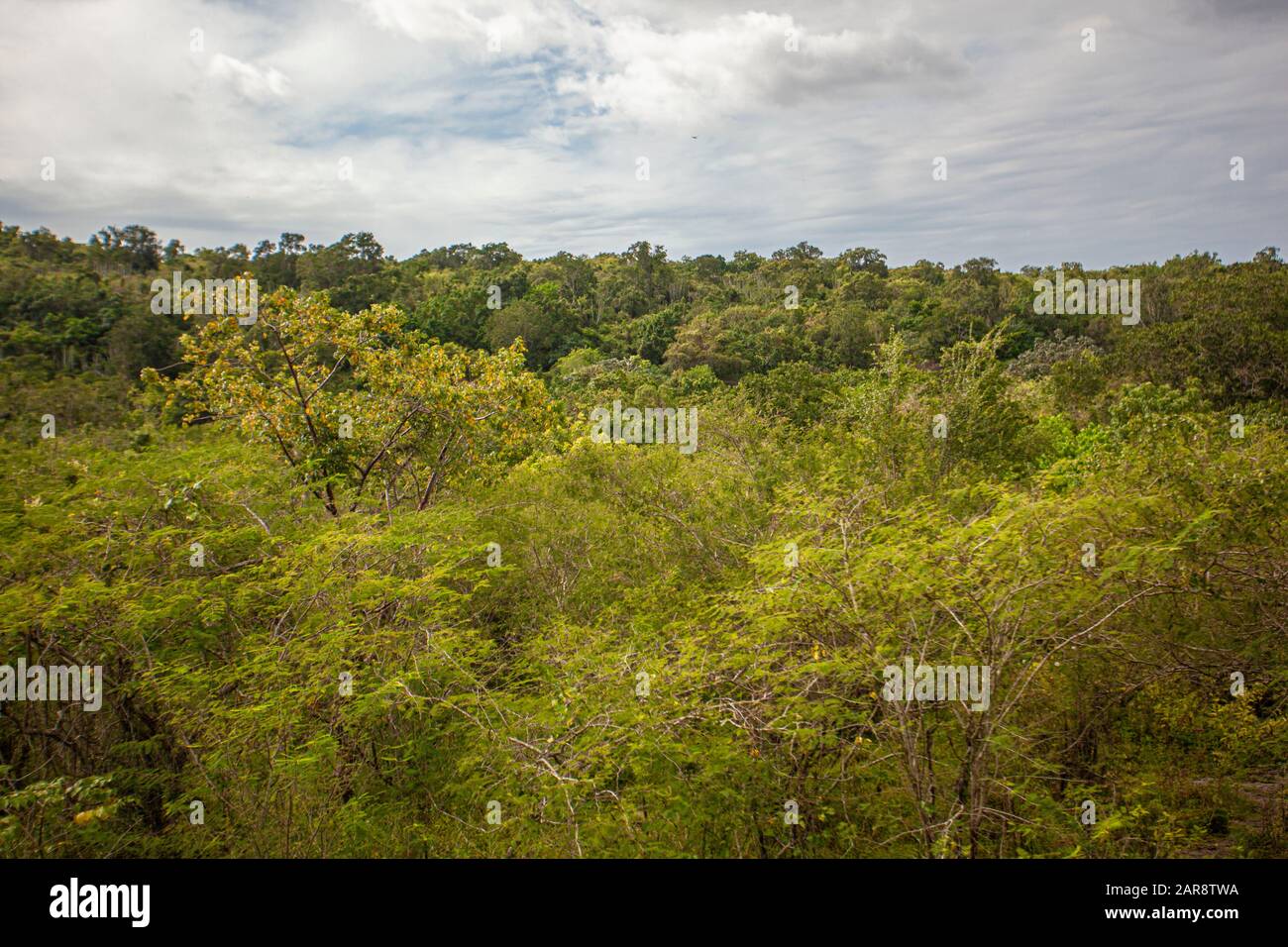 Cotubanama National Park in Dominican Republic 30 Stock Photo Alamy