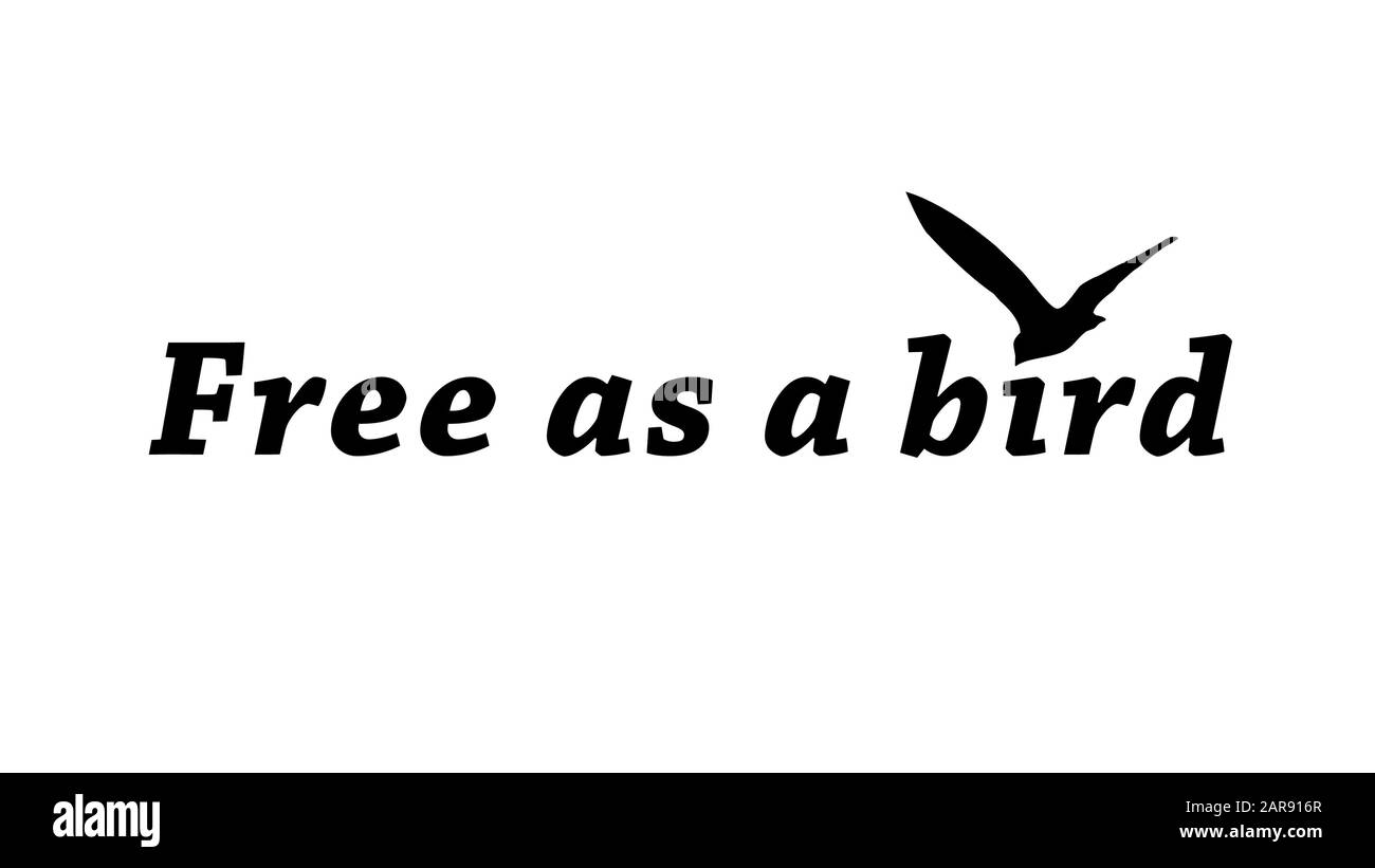 quotes about being free like a bird