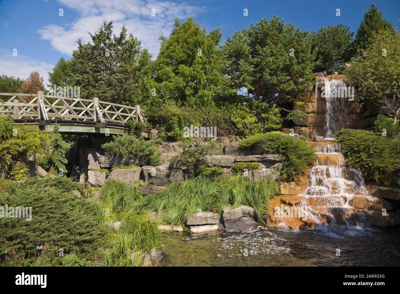 Wooden footbridge over stream with cascading waterfall bordered by coniferous and deciduous trees, perennial plants and shrubs in the Alpine garden Stock Photo