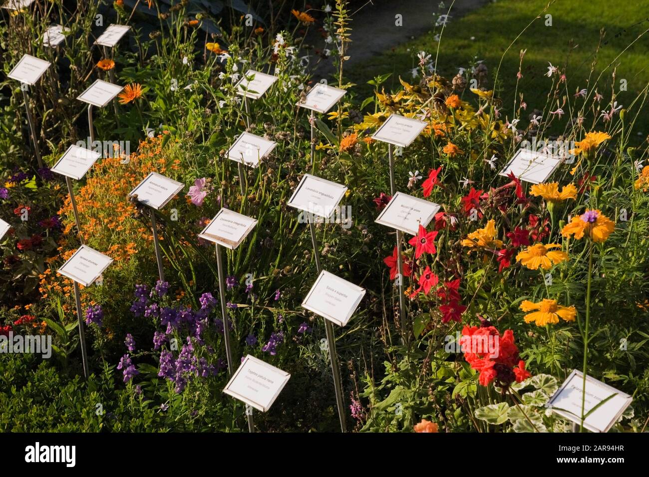 Flower and plant identification cards in border at the Bishop's Residence garden in late summer, Wurzburg, Germany Stock Photo