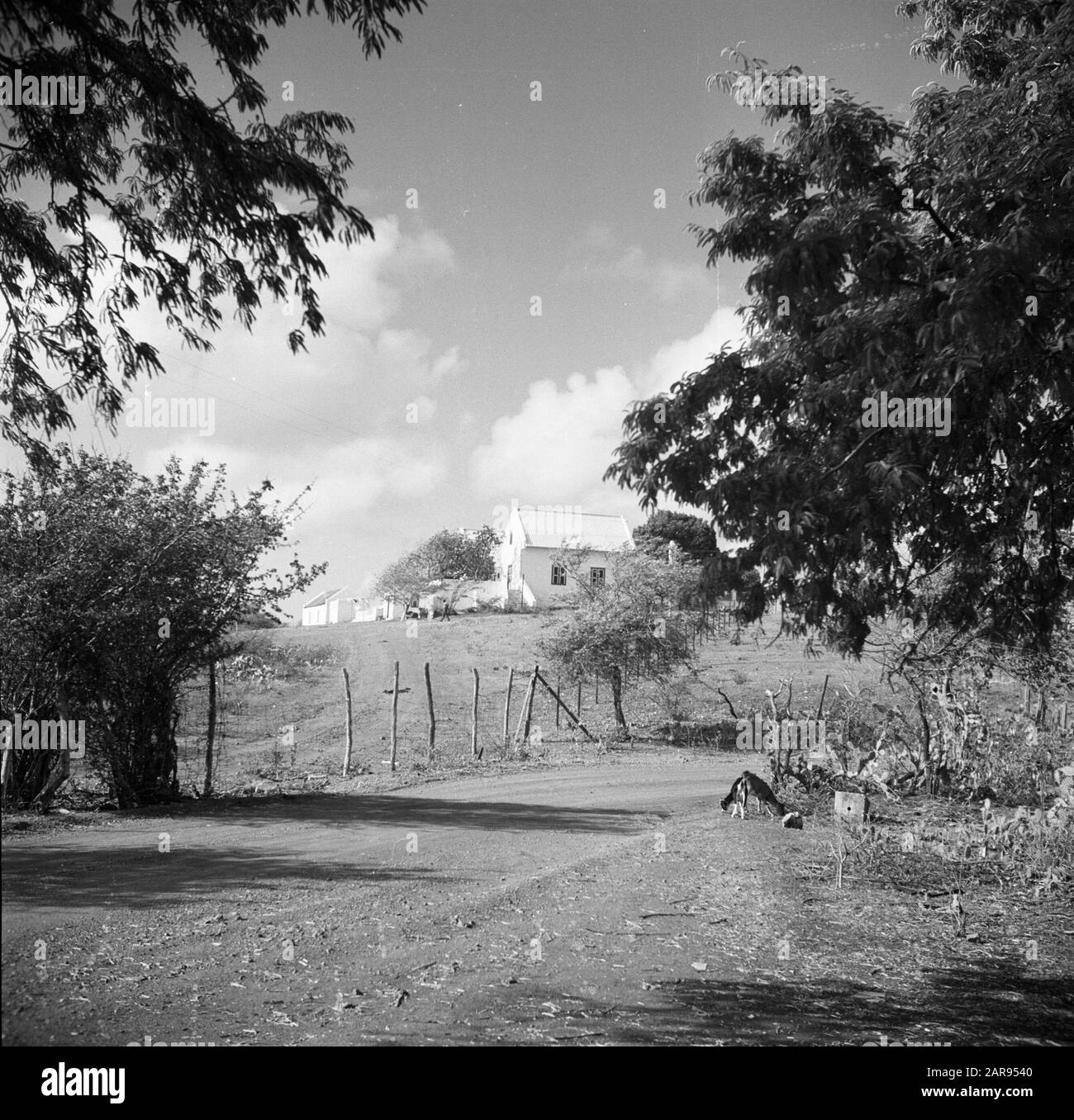 Journey to Suriname and the Netherlands Antilles  View with manor Brakkeput on Curaçao Date: 1947 Location: Curaçao Keywords: country houses, landscapes Stock Photo