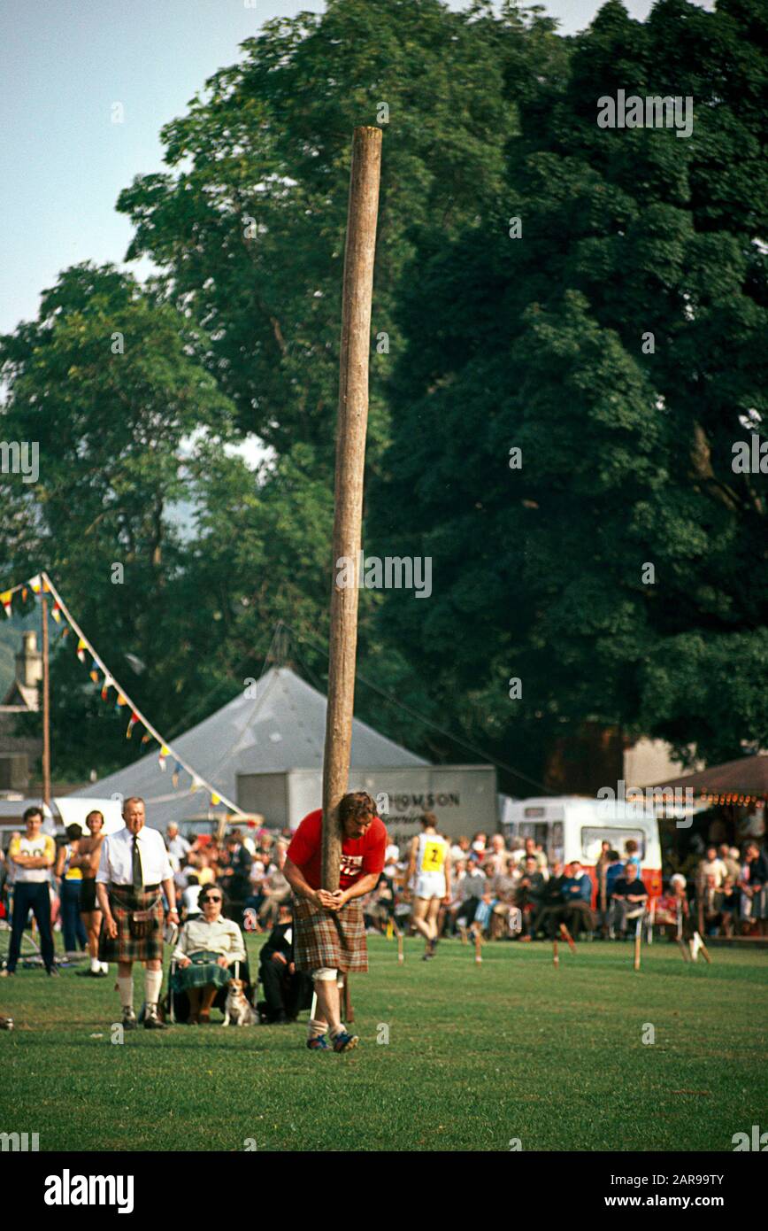 A strong kilted athlete prepares to toss the caber at the Highland Games in Birnam, Scotland. The caber toss is a traditional Scottish athletic event in which competitors toss a large tapered pole called a 'caber'. In Scotland the caber is usually made from a Larch tree and is typically 19 feet 6 inches (5.94 m) tall and weighs 12.5 stone (175 lb; 79 kg). The term 'caber' derives from the Gaelic word cabar, which refers to a wooden beam. Stock Photo