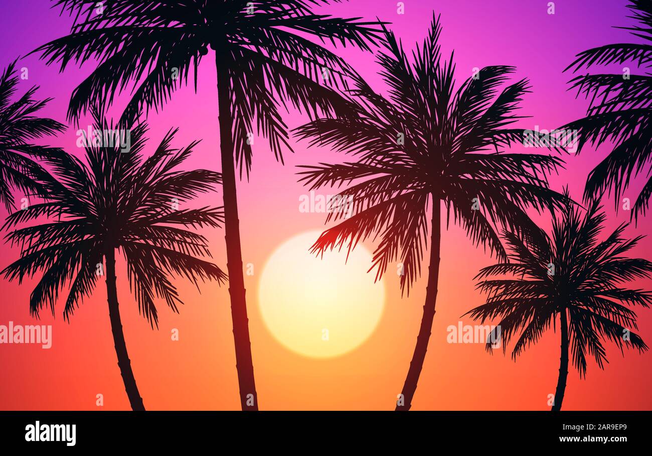 Natural Coconut trees mountains horizon hills silhouettes of trees and