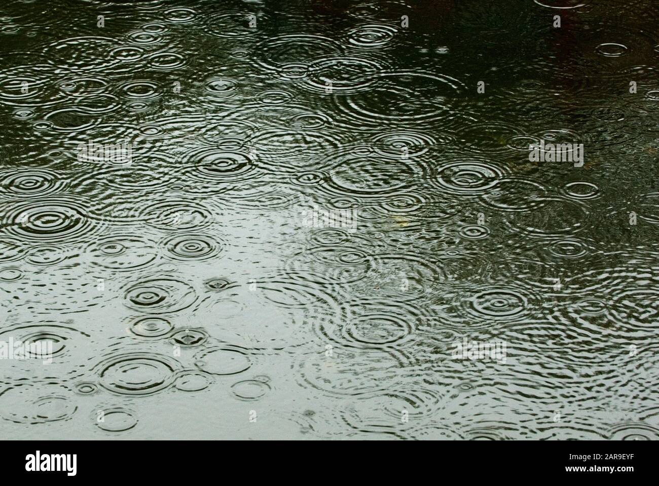 Circular rain pattern on fresh water pond design Stock Photo