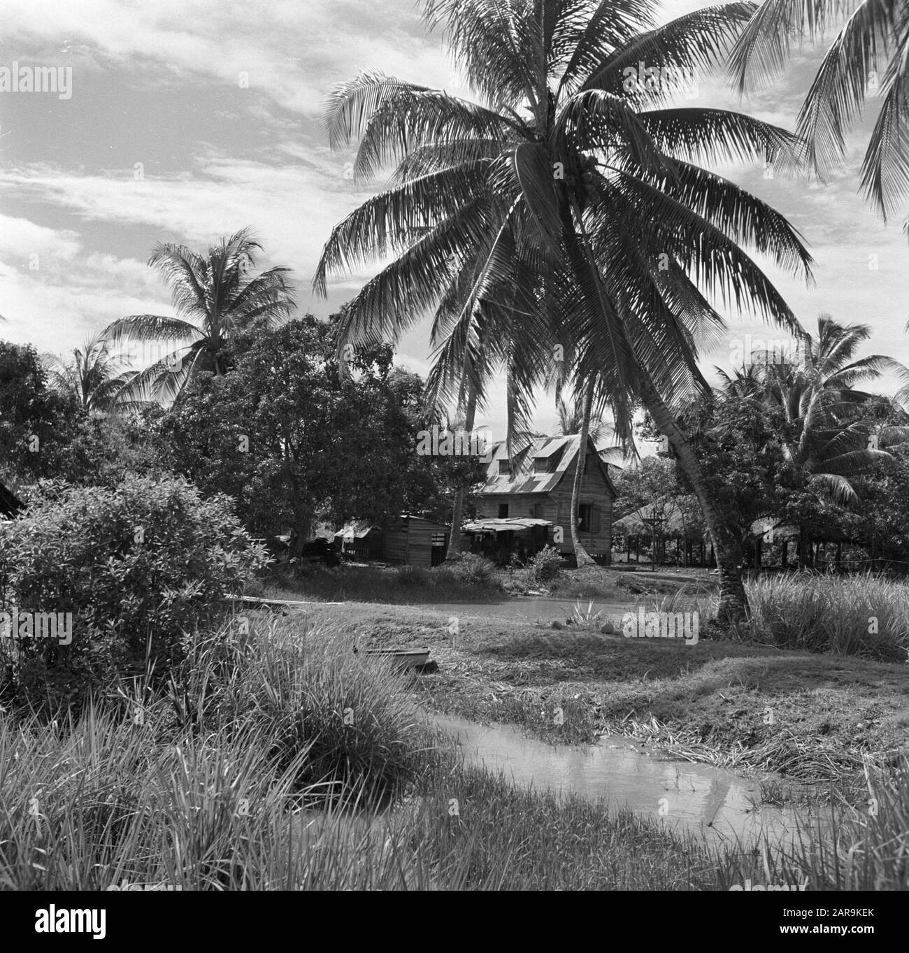 Travel to Suriname and the Netherlands Antilles Property in New