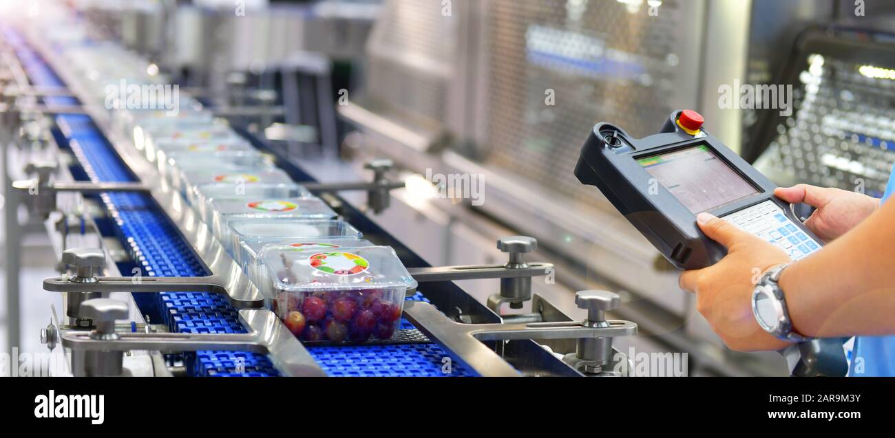 Manager check and control automation Food products boxs transfer on Automated conveyor systems in factory Stock Photo