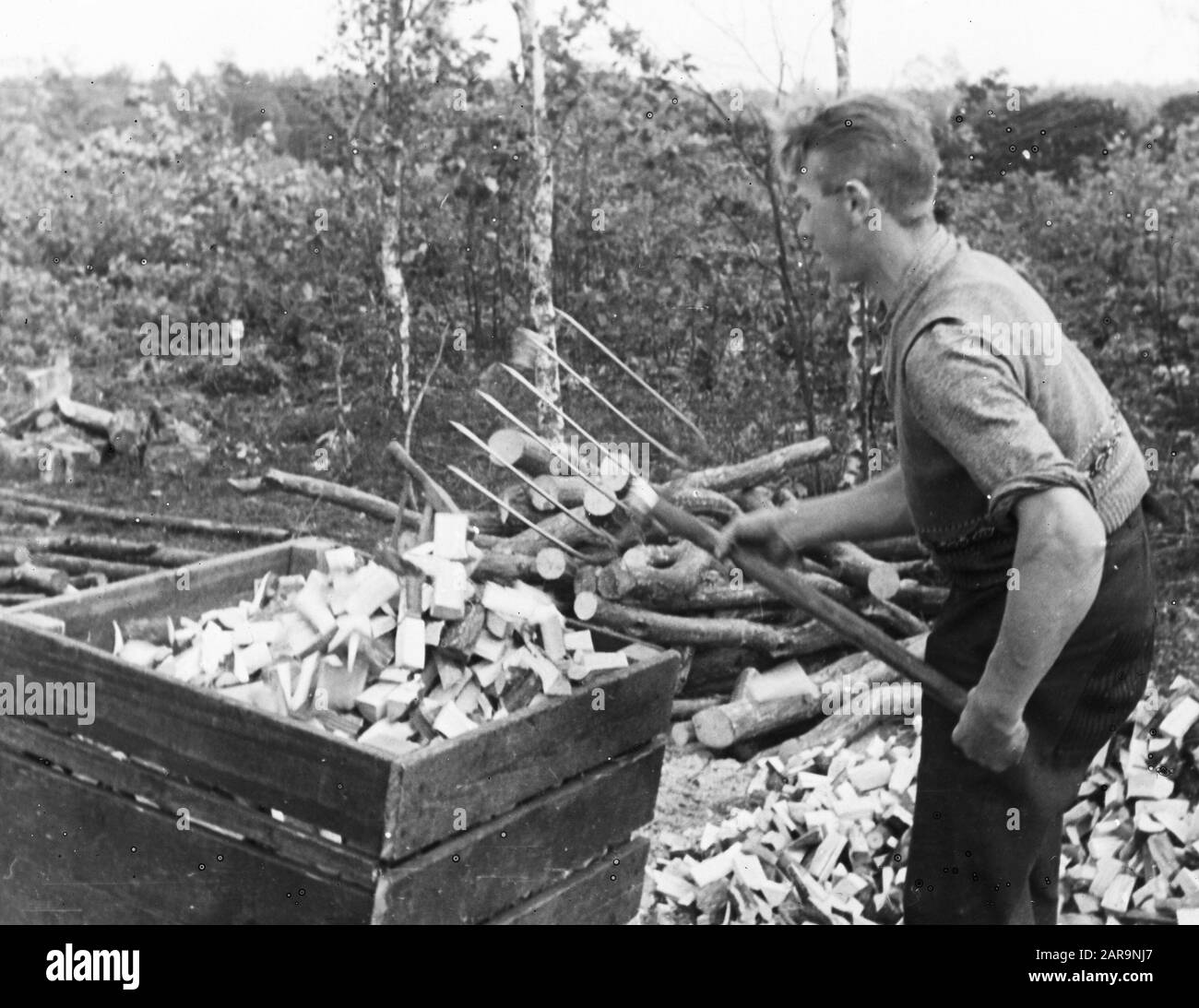 filling the bins Date undated Keywords forestry, use, wood transport