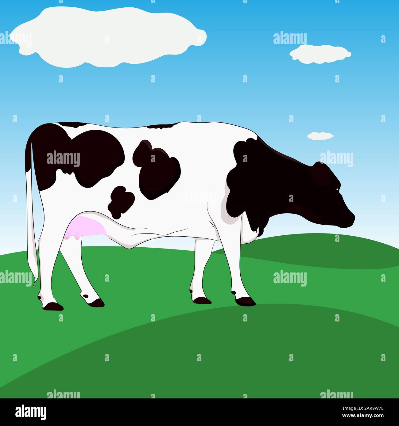 Dairy cow brown and white standing on Green meadow with blue sky background vector illustration Stock Vector