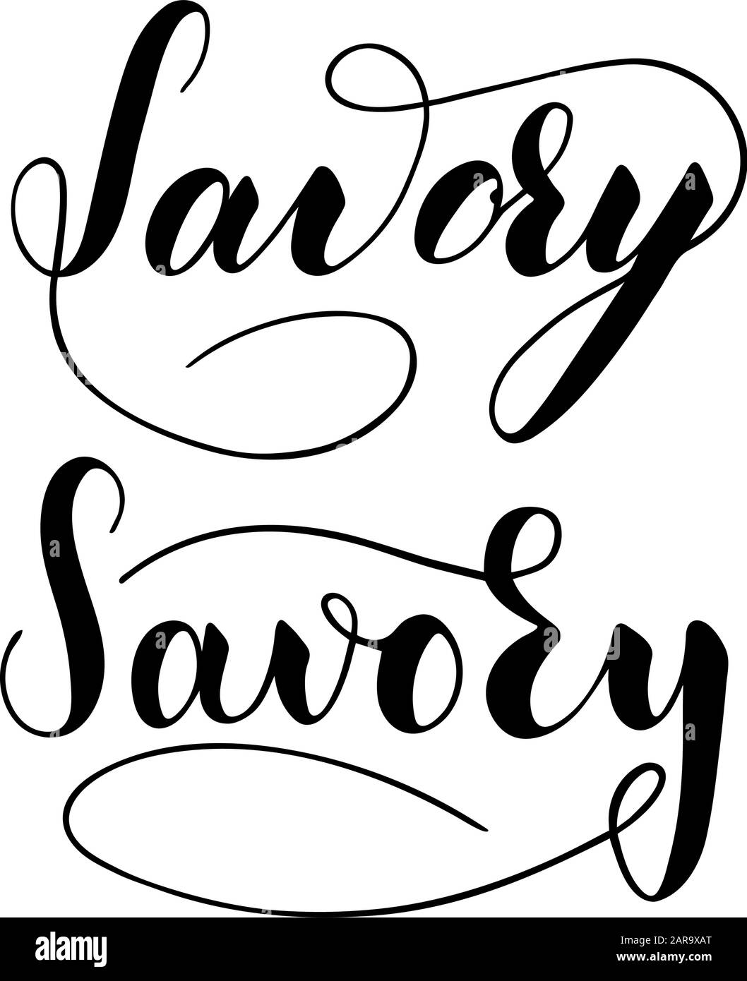 Vector hand written savory text isolated on white background. Kitchen healthy herbs and spices