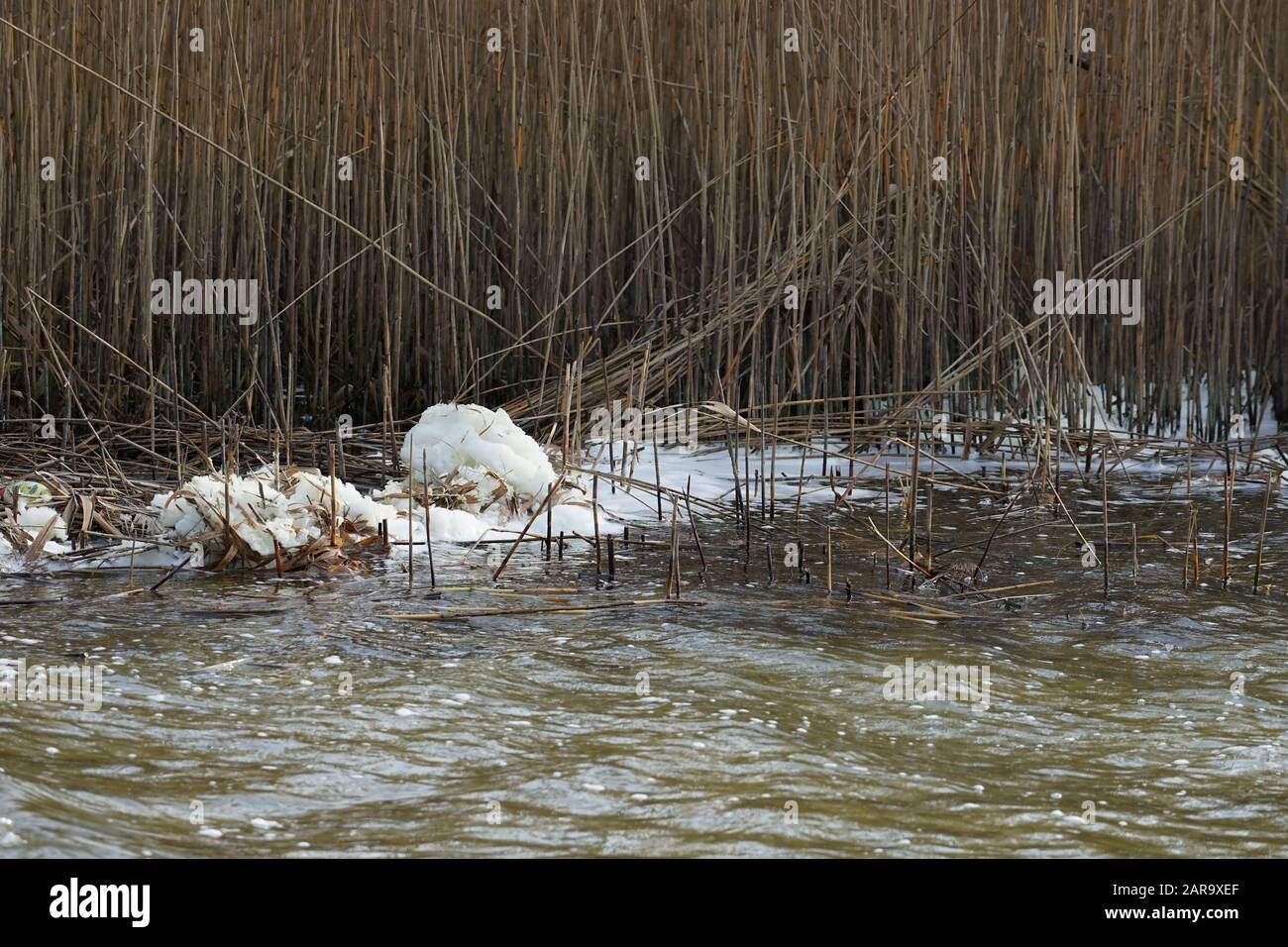 The problem of environmental protection. Polluted lake - foam on the shore Stock Photo