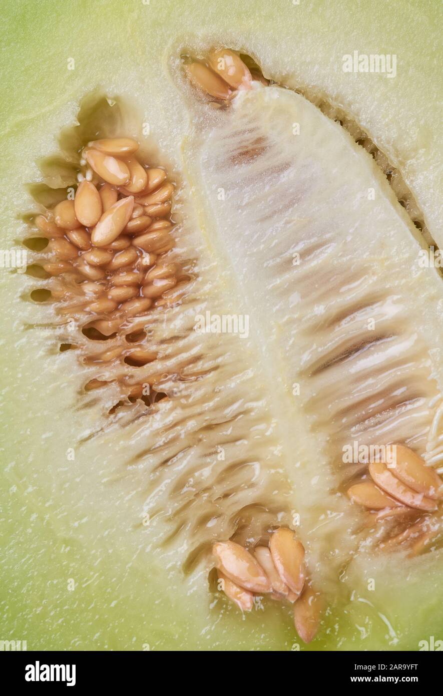Background images of cantaloupe seeds Stock Photo