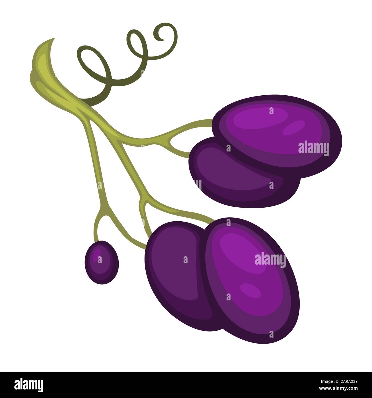 Separate stem Stock Vector Images Alamy