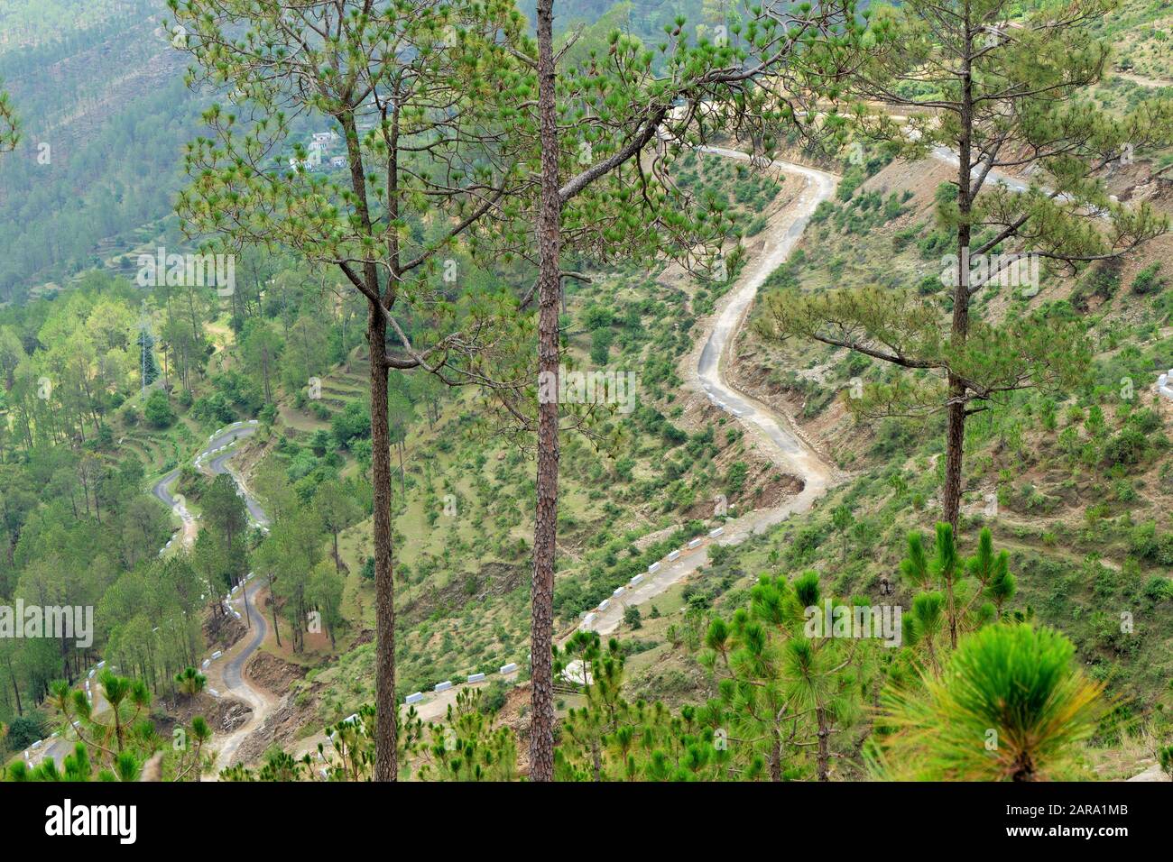Hairpin bend winding roads, Papersali, Almora, Uttarakhand, India, Asia Stock Photo