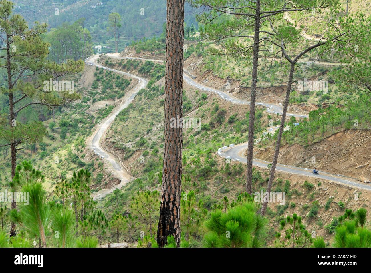 Hairpin bend winding roads, Papersali, Almora, Uttarakhand, India, Asia Stock Photo
