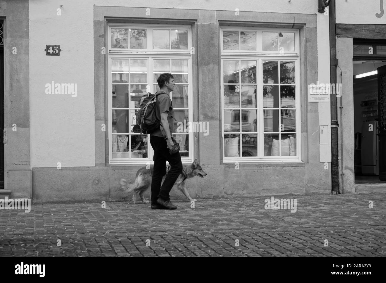 Man walking dog, Zurich, Switzerland, Europe Stock Photo