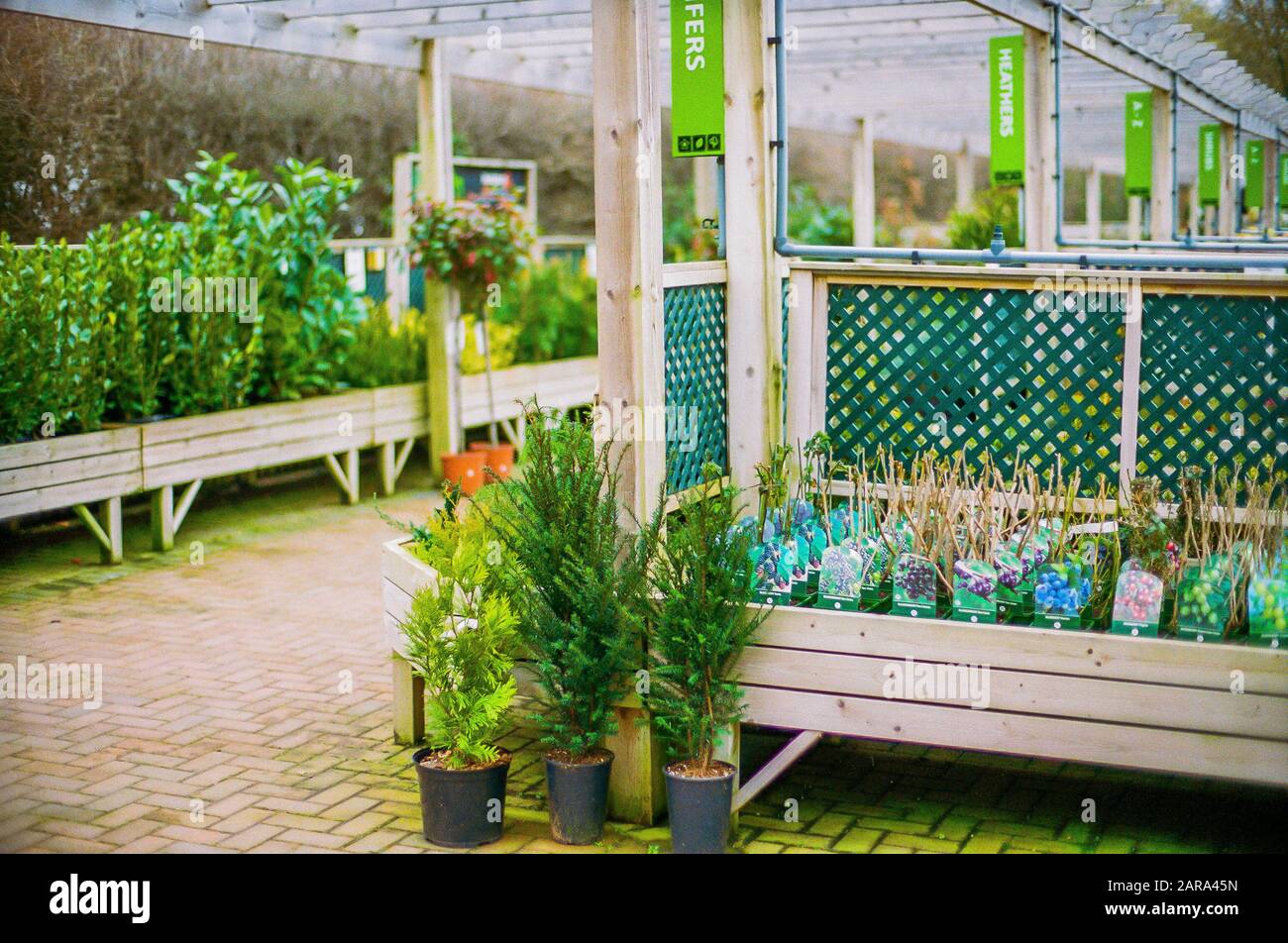 garden centre england uk Stock Photo Alamy