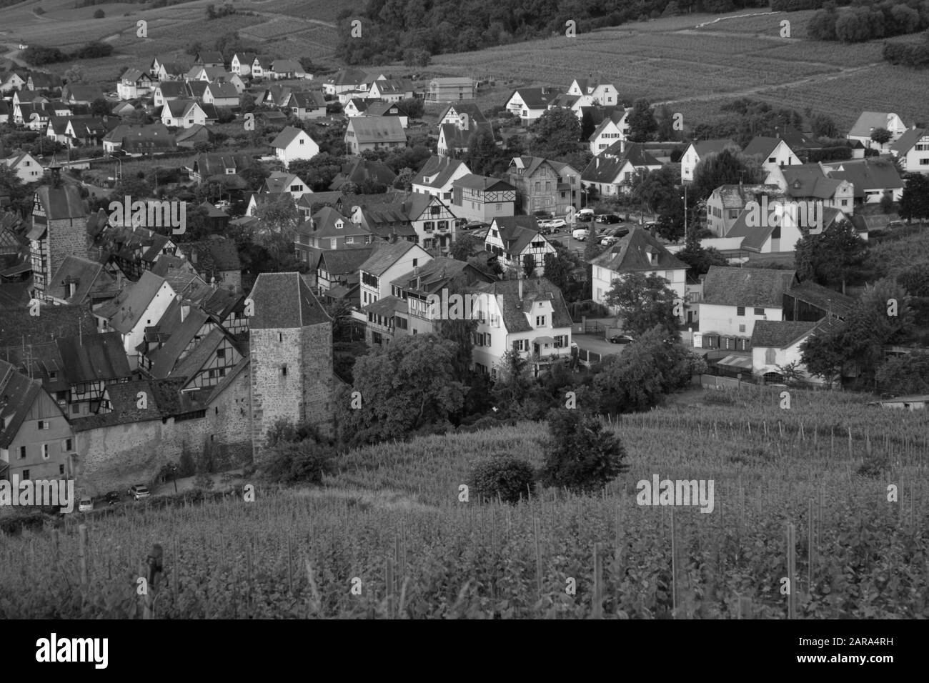 Aerial of small town, Old Houses, Riquewihr, Alsace, France, Europe Stock Photo
