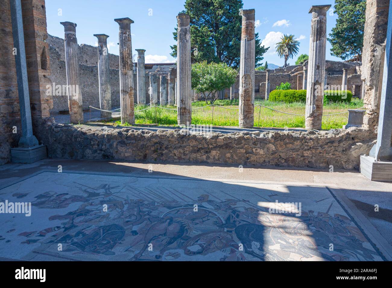 House of the faun with Alexander