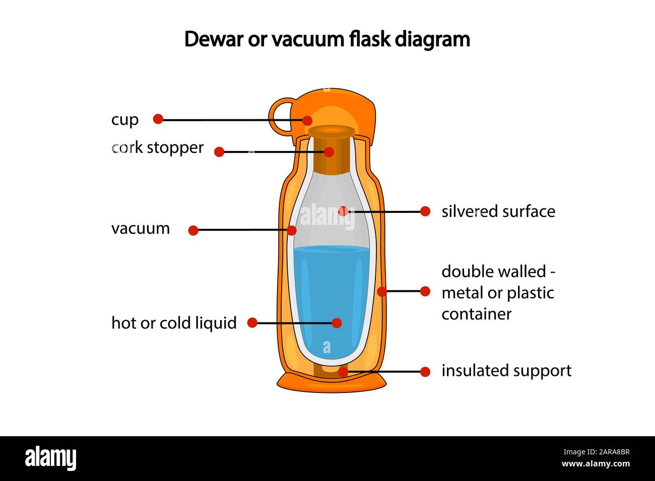 Dewar or vacuum flask diagram isolated on white background. Cross section  cut away view of thermos vacuum flask. Diagram showing vacuum flask layers  Stock Vector Image & Art - Alamy
