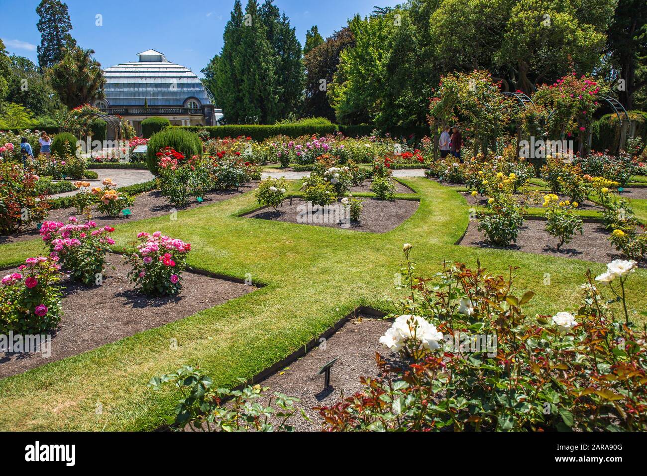 Christchurch botanic gardens. Popular tourist travel destination in