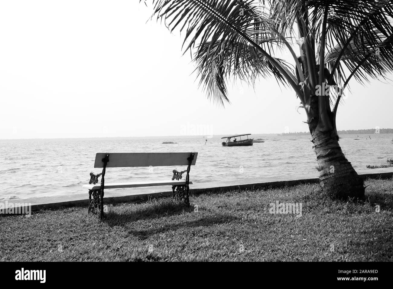Bench and palm tree, Vembanad lake, Coconut Lagoon Resort, Kumarakom, Kottayam, Kerala, India, Asia Stock Photo