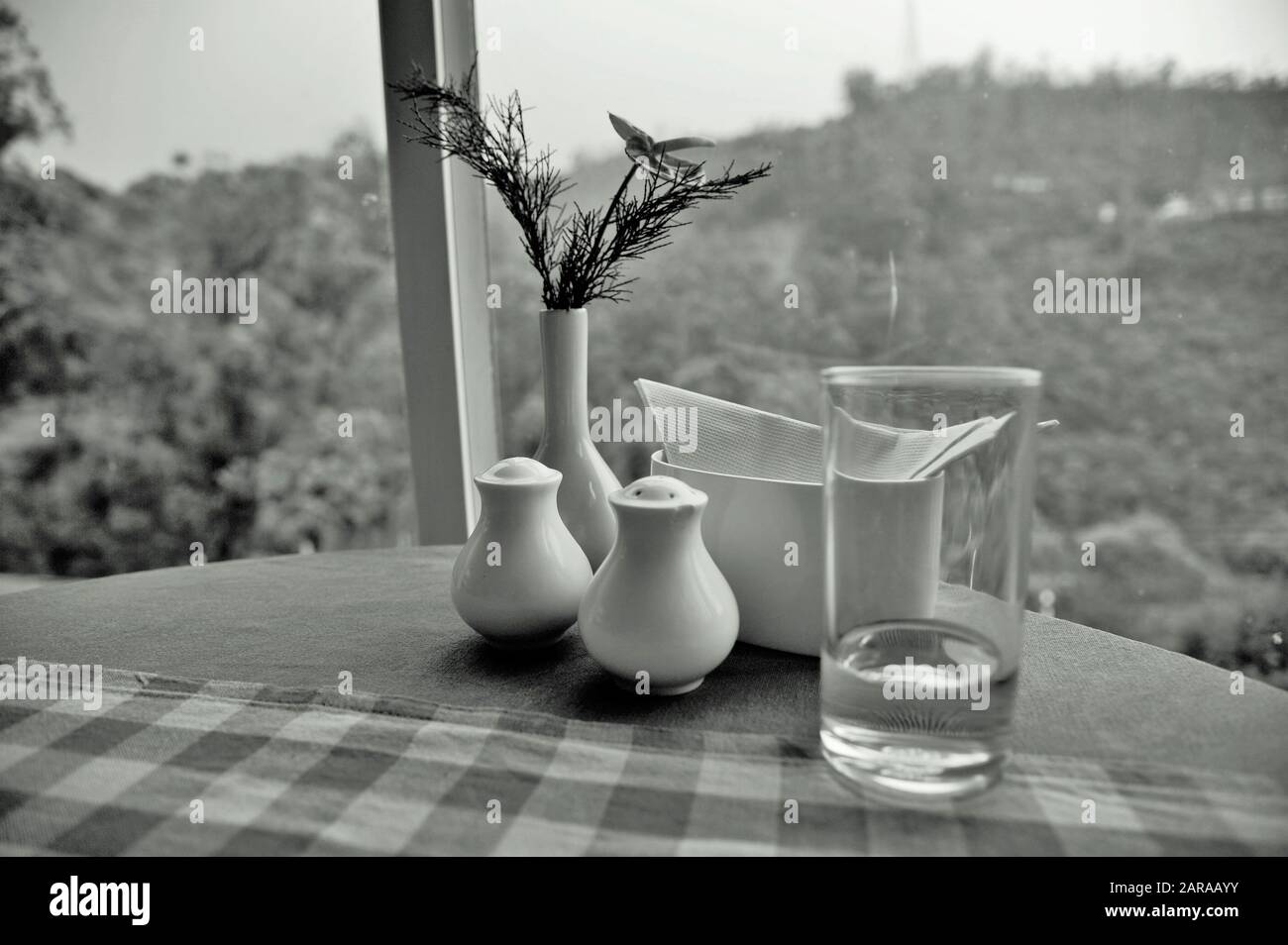 Salt and pepper shakers with water glass and flower vase on table, Munnar, Idukki, Kerala, India, Asia Stock Photo