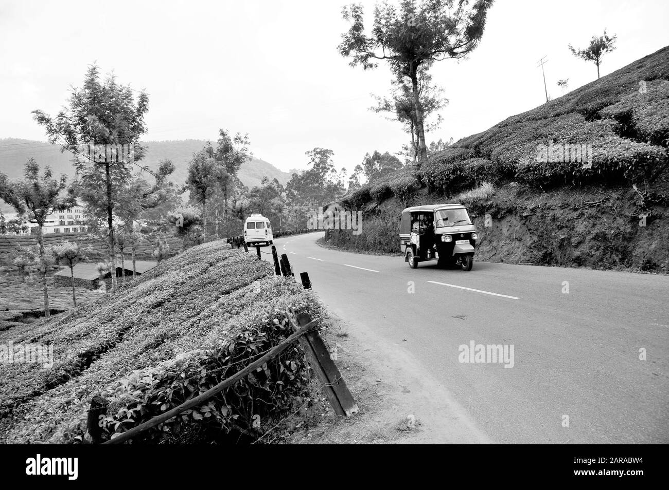 Cars and auto, Tea plantations, Munnar, Idukki, Kerala, India, Asia Stock Photo