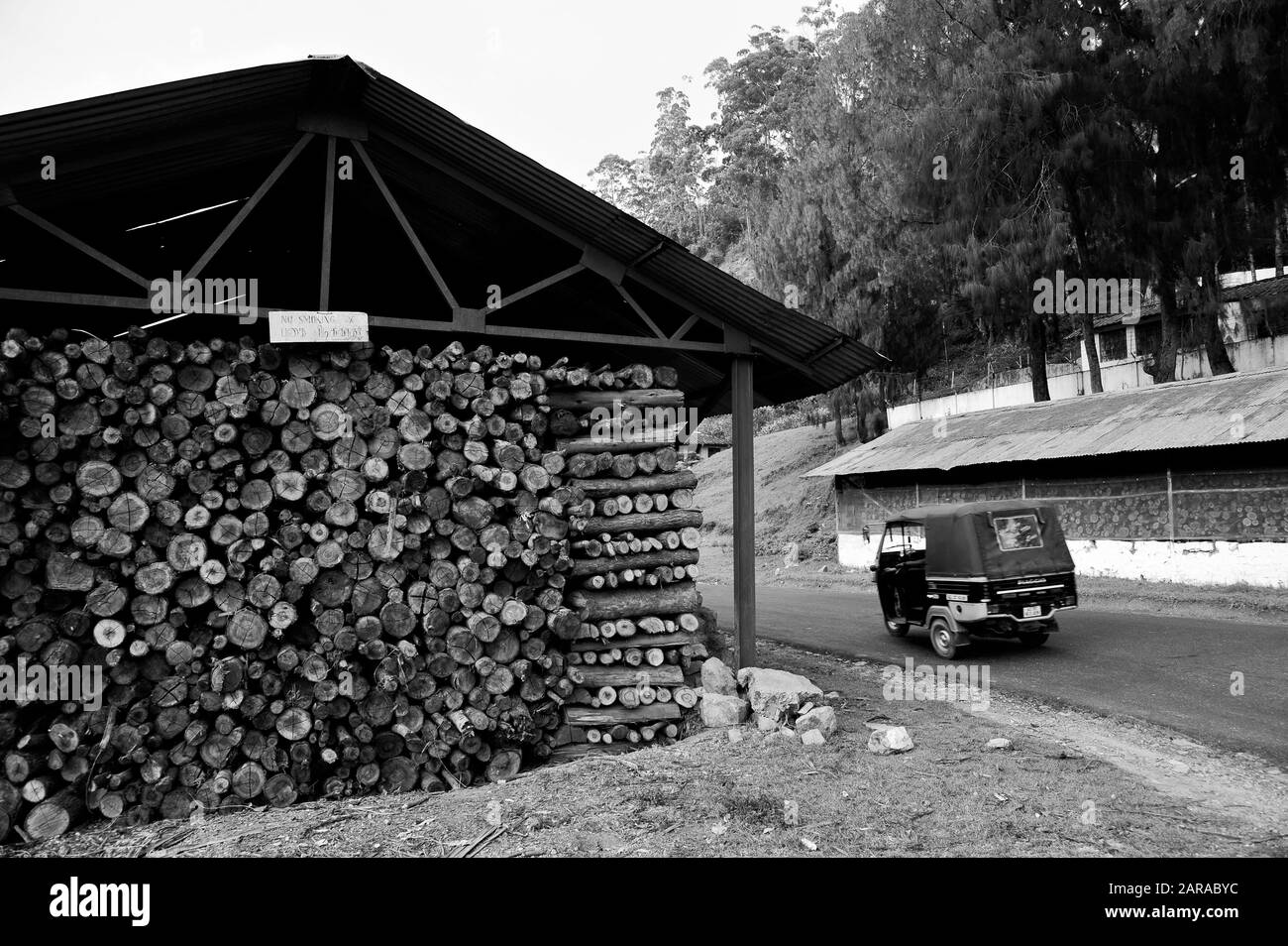 Wood Logs Storage Shed Munnar Idukki Kerala India Asia Stock