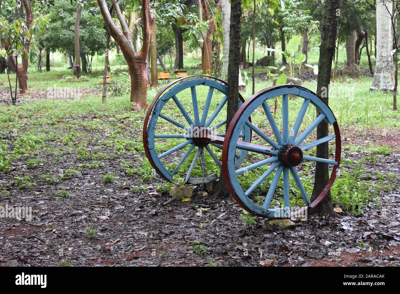 Painted wagon wheels hi res stock photography and images Alamy Painted wagon wheels hi res stock photography and images Alamy
