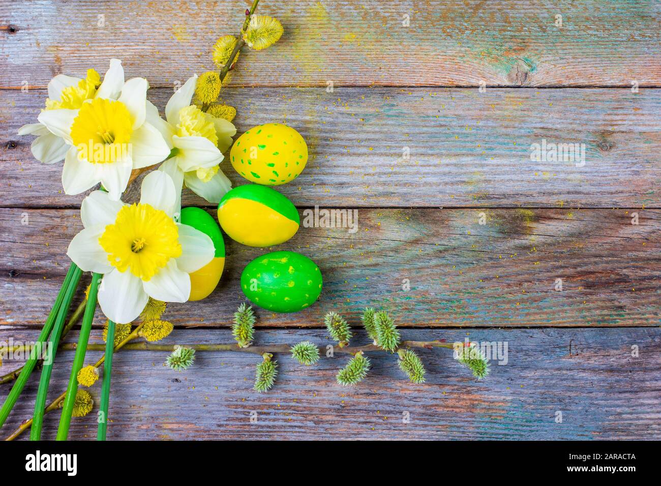 Easter composition of daffodil flower of flowering willow twigs and ...