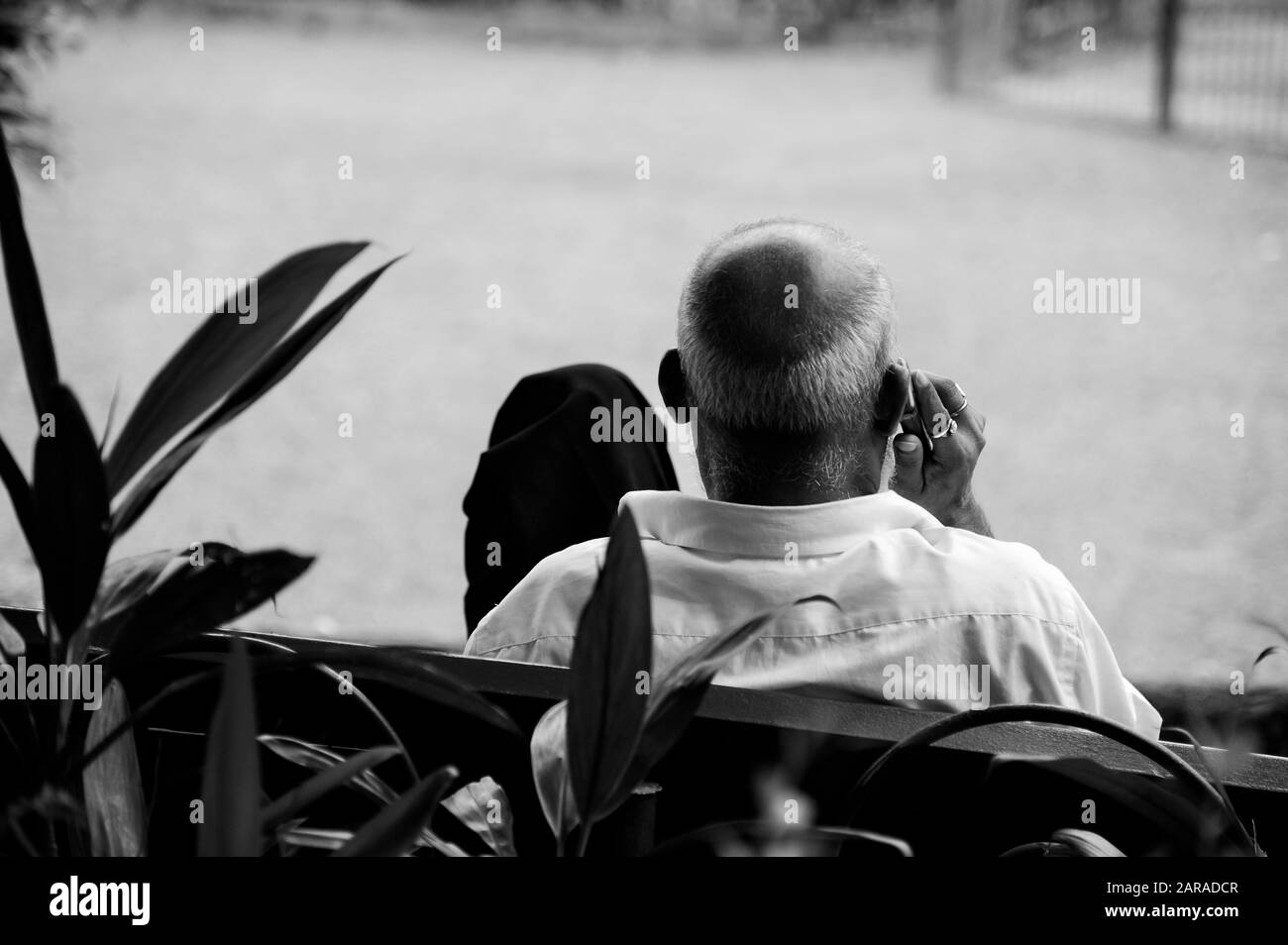 Old man on mobile phone, Kamala Nehru Park, Hanging Garden, Malabar Hill, Mumbai, Maharashtra, India, Asia Stock Photo