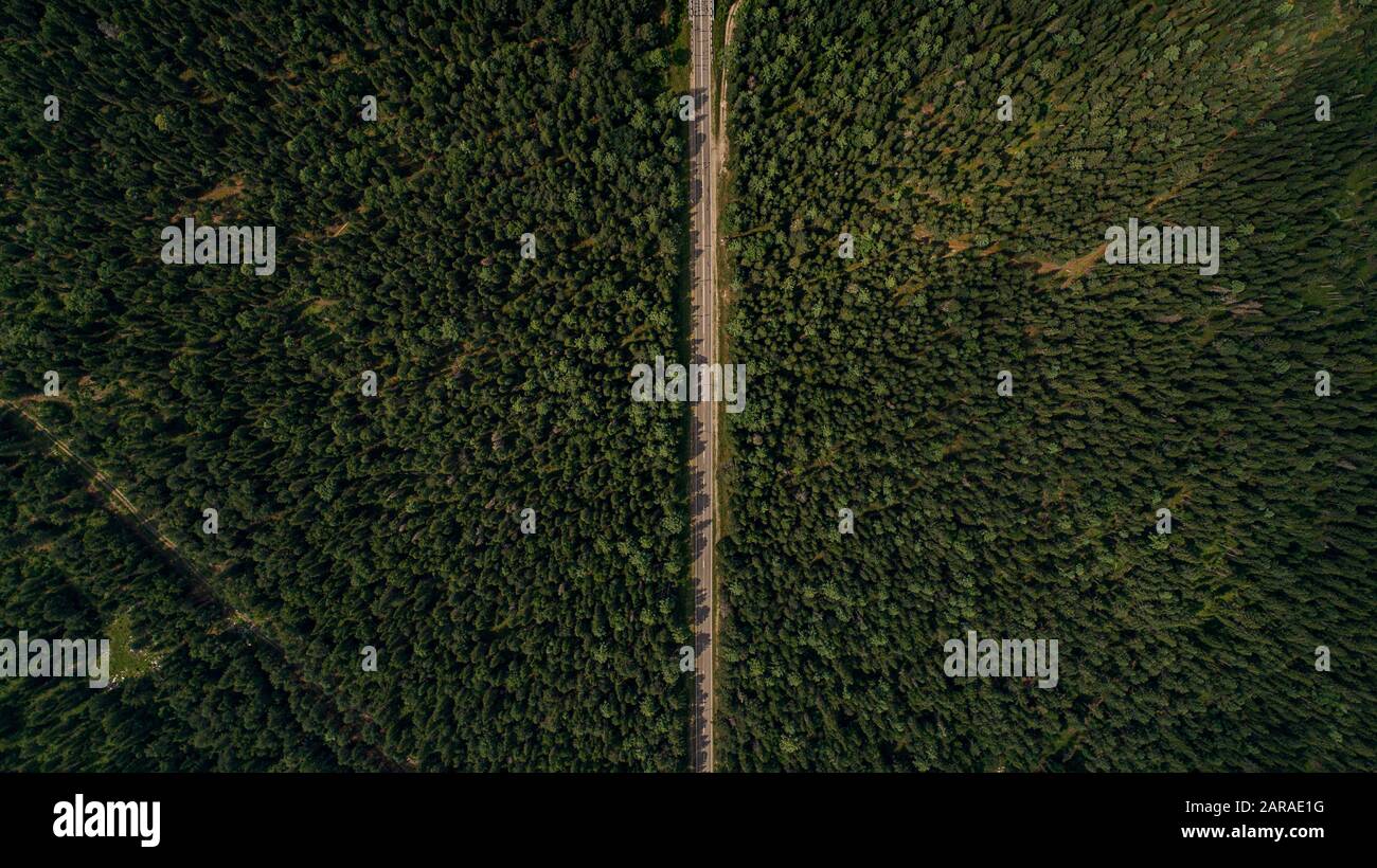 Aerial view of white car driving on country road in forest. Cinematic ...