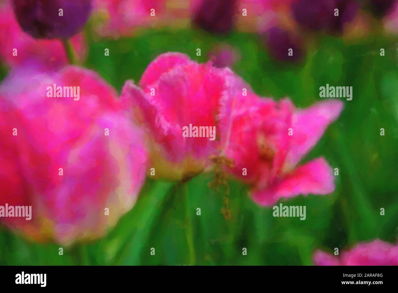 Watercolor Wallpaper With Pink Flowers Digital Painting With