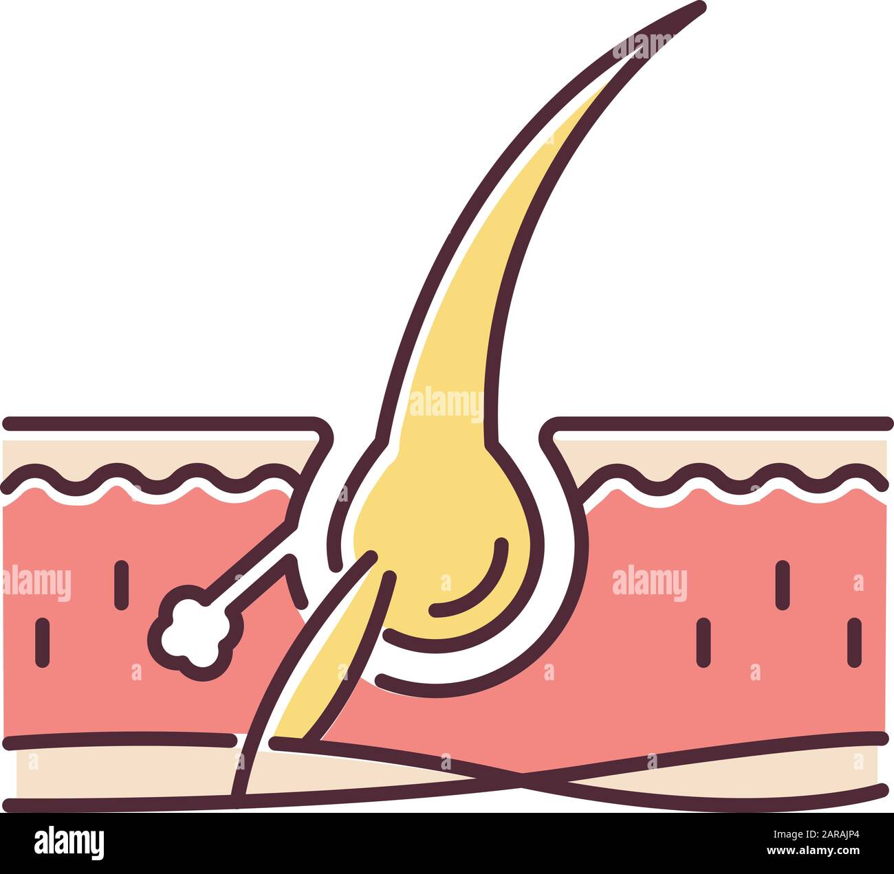 Follicle RGB color icon. Damaged hair root. Microscopic look on skin