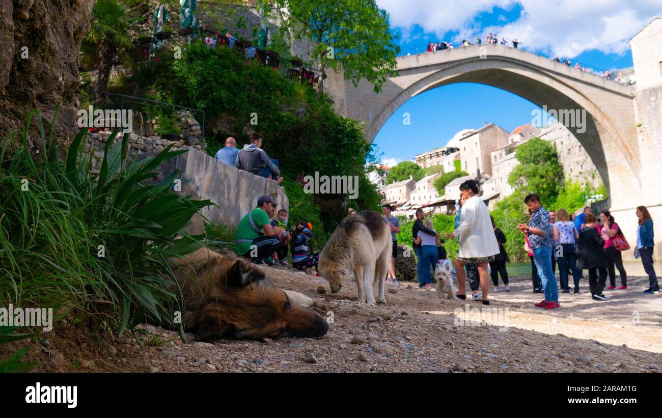 Sleeping in the shade hi-res stock photography and images - Page 12 - Alamy