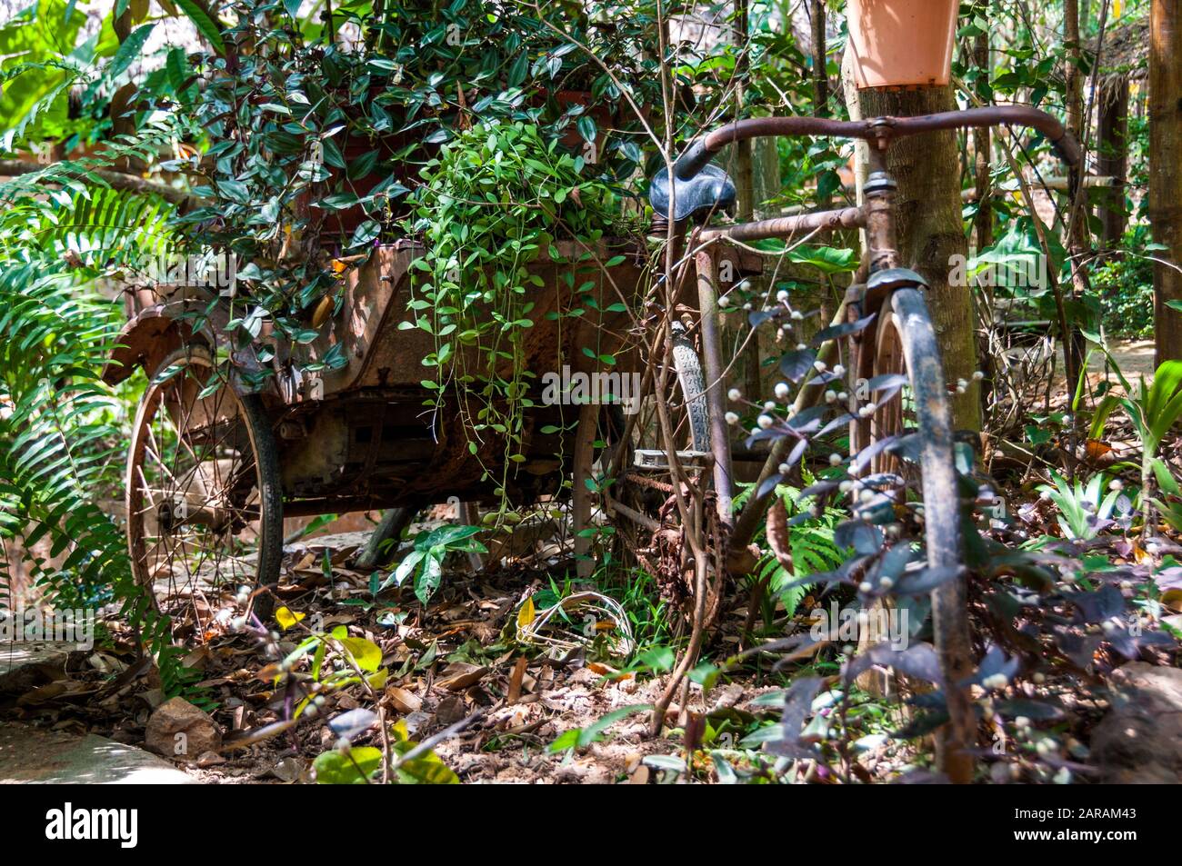 A cyclo succumbs to the encroaching jungle plants in Kep, Cambodia. Stock Photo