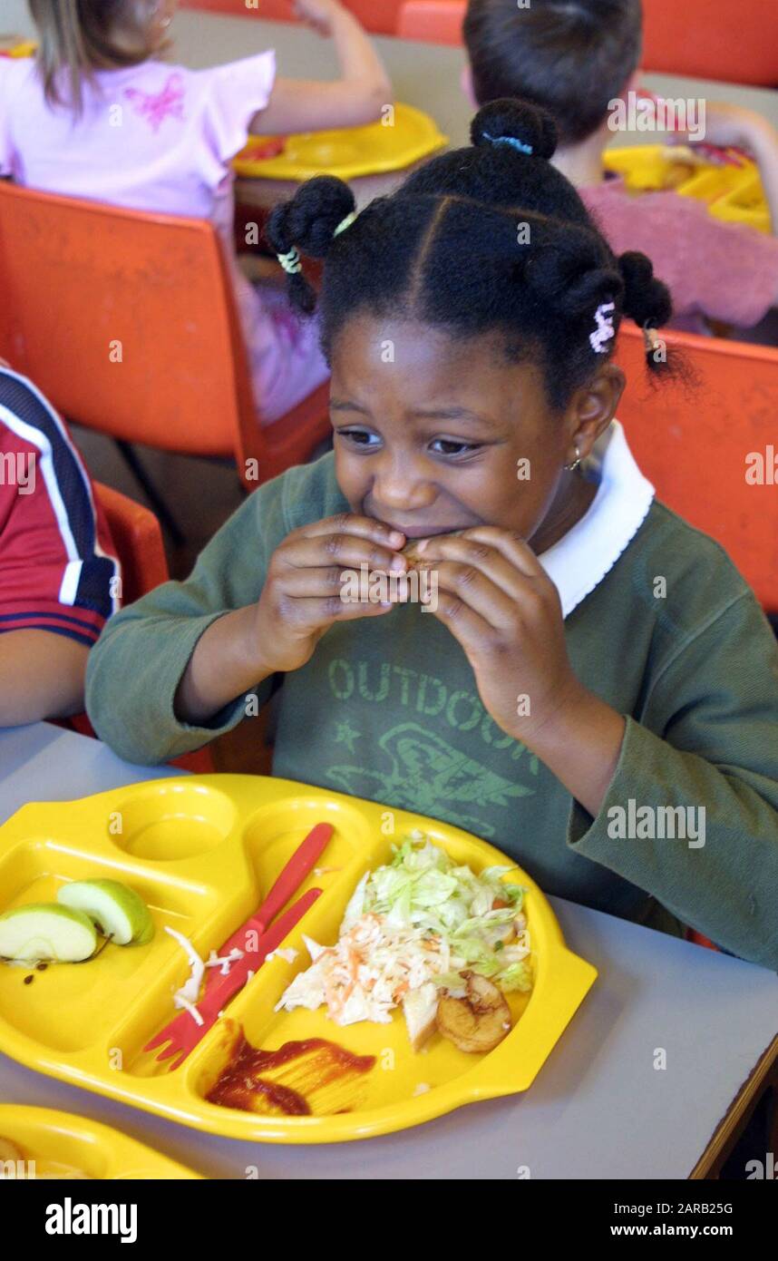primary student at a school dinner with salad and cooked meal Stock Photo