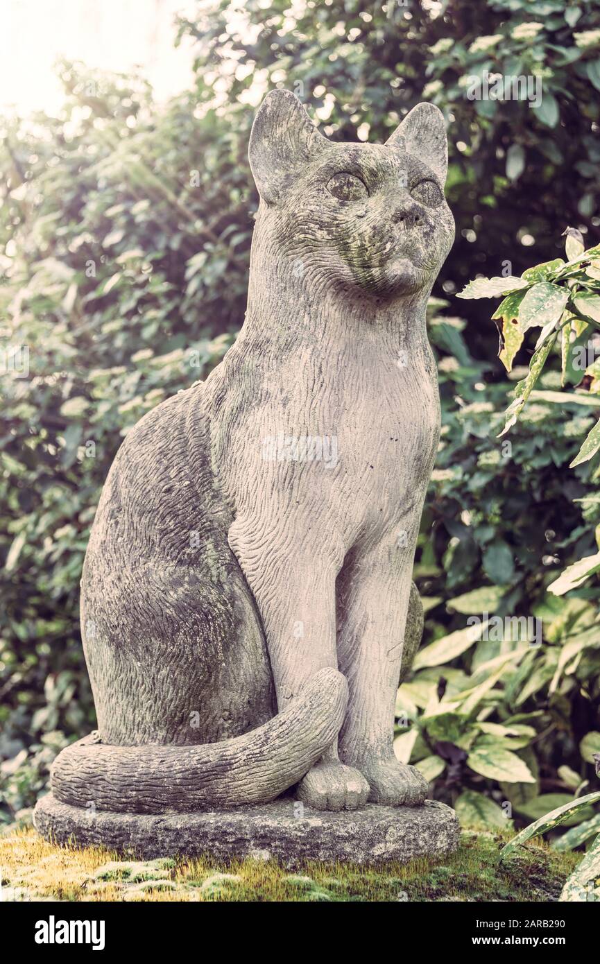 Stone cat statue in the pet cemetery of Paris in Asnières-sur-Seine, France. The 'Cemetery of dogs and other domestic animals' is the oldest pet cemet Stock Photo