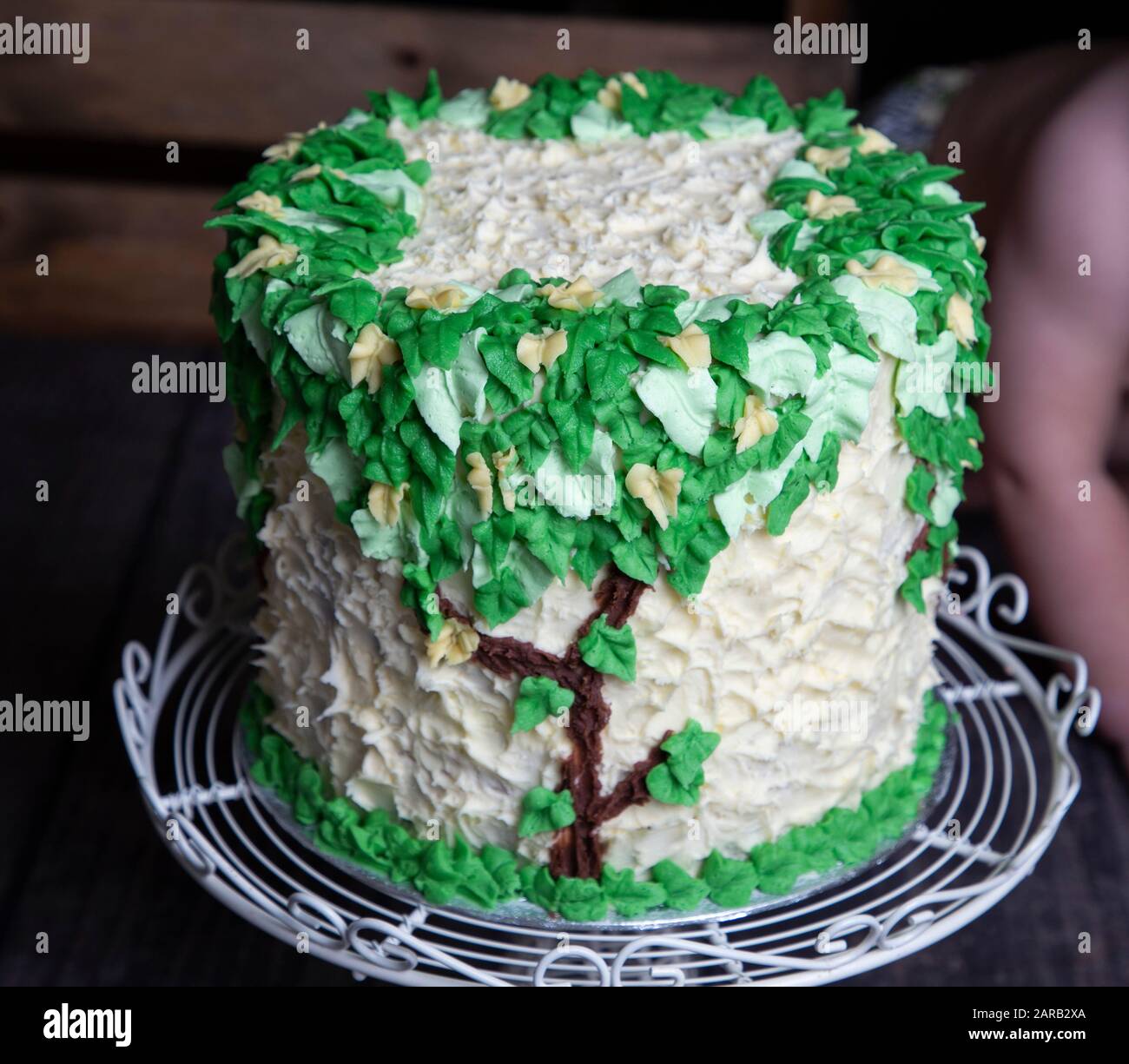 Birthday cakes hi-res stock photography and images - Alamy