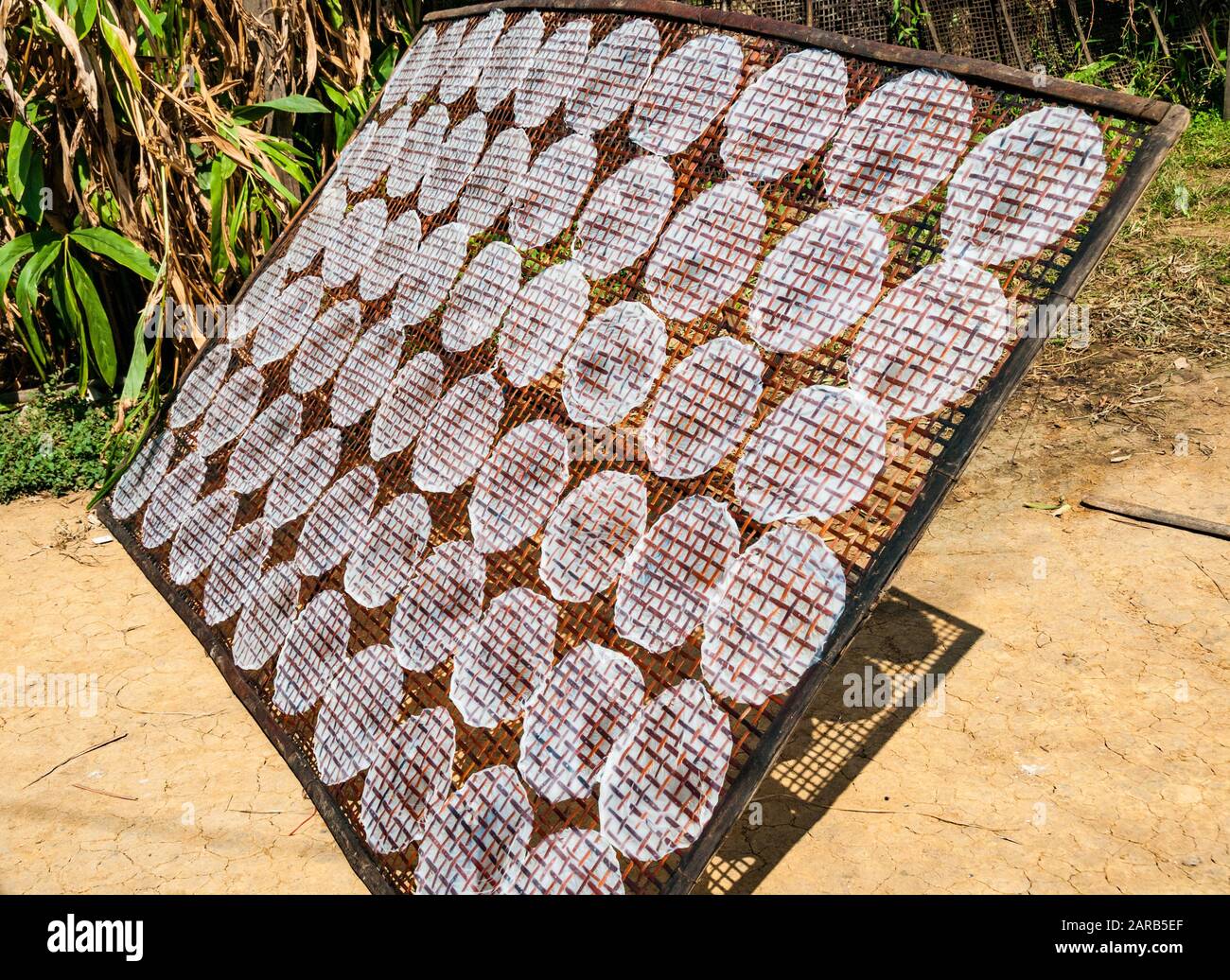 Rice paper drying on a frame by the roadside near the village of Pheam Ek, Battambang Province, Cambodia Stock Photo