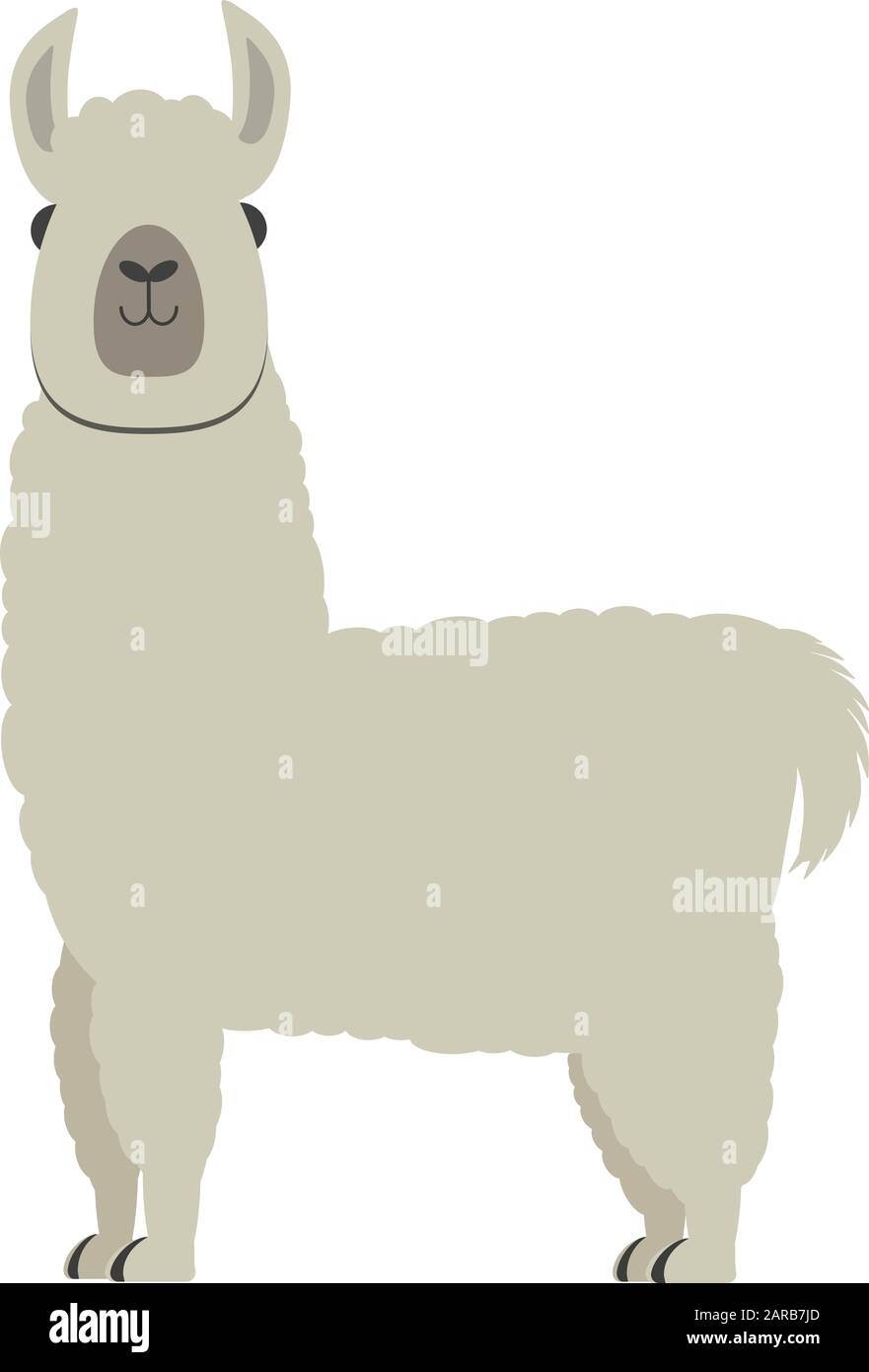 cute fluffy alpaca or llama isolated on white background vector illustration Stock Vector