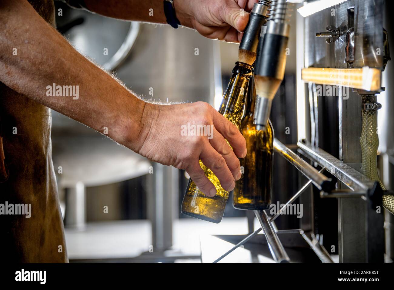 brewer botteling artisanal beer Stock Photo