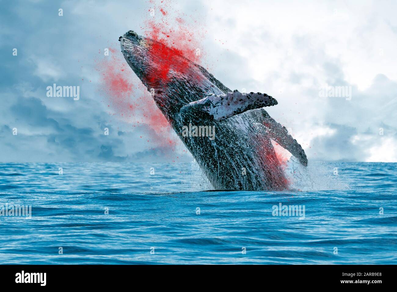hunt of whales while blooding and jumping dramatic scene Stock Photo