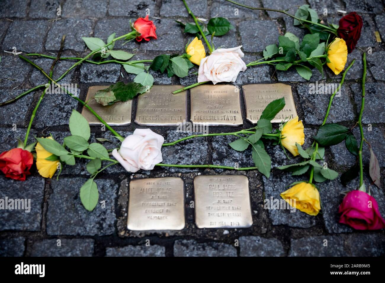 Berlin, Germany. 27th Jan, 2020. Flowers lie on stumbling blocks in the  Dresdener Straße in Berlin-Kreuzberg. These were laid down there by Federal  Minister of Family Affairs Giffey and pupils from the