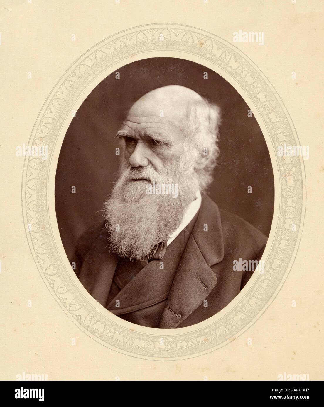 CHARLES DARWIN English naturalist Date: 1809 - 1882 Stock Photo - Alamy